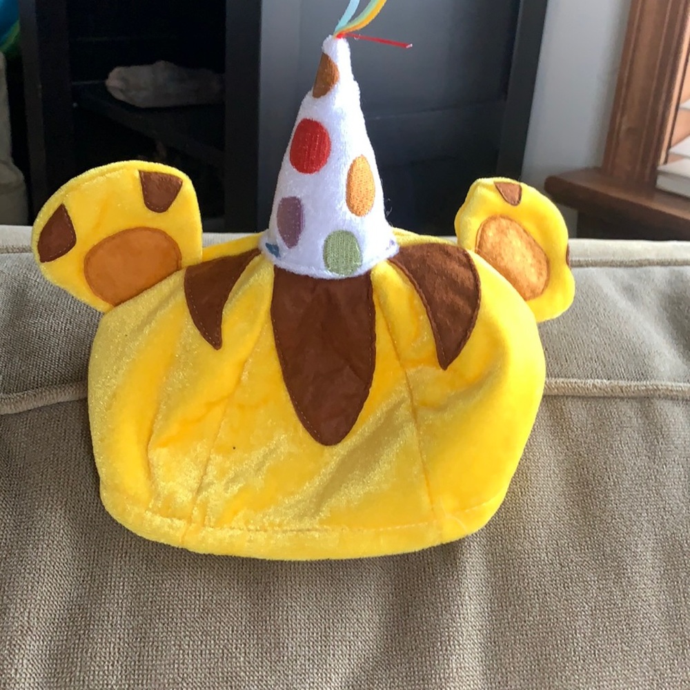 🌻Daniel Tiger Birthday Hat